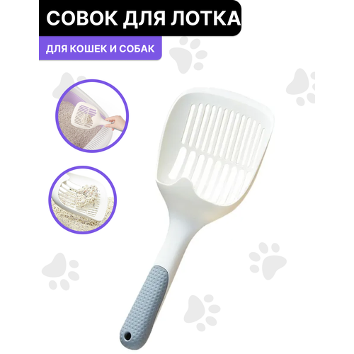 ���� ����� ��� ������ �������� ������, ������ ������