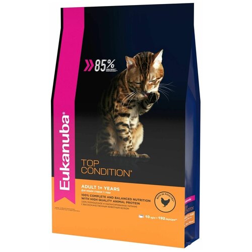  Eukanuba () Adult Top Condition        400    -     , -,   