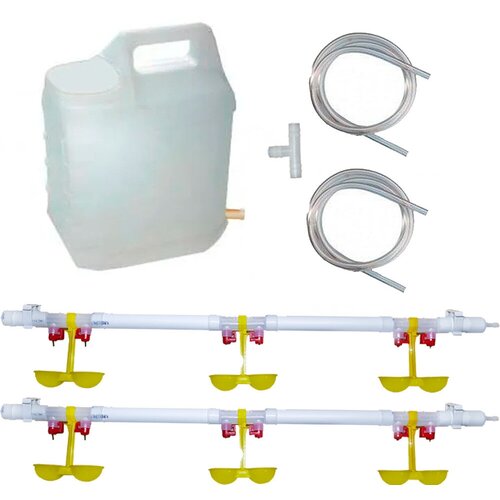 ���� ������ ��� ���, ���������, ���������, ������ � ������ �������������������� �������� ����� � ������, 5 ������, 6 ������., ������ ������