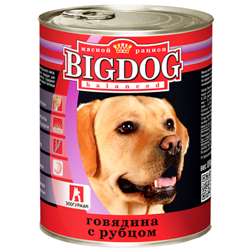       Big Dog, ,  1 .  2 .  850  (    )   -     , -  