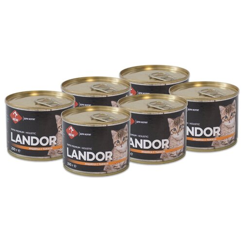  LANDOR         0,2  - 6    -     , -,   