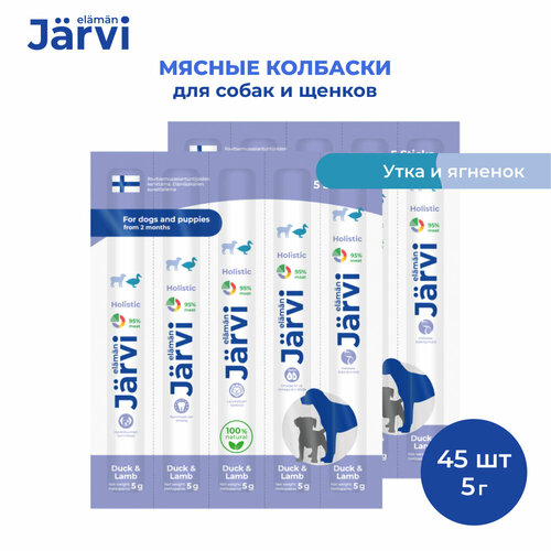  Jarvi           45   1 .   -     , -  