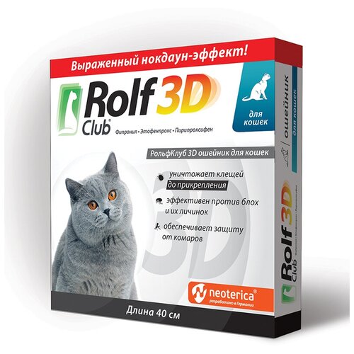 ���� ����� ���� 3D ������� �� ������ � ����, ��� �����, 40 ��, ������ ������