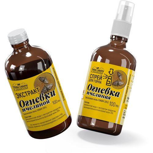 ���� �������� ������� ����, ������� ��������, �������� ���� ���������� ������� + �����, ������ ������