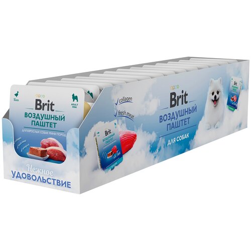      Brit  1 .  14 .  100  (   )   -     , -  