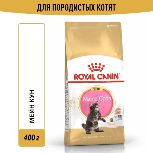    Royal Canin Maine Coon Kitten (  )       4  15 , 0.4    -     , -  