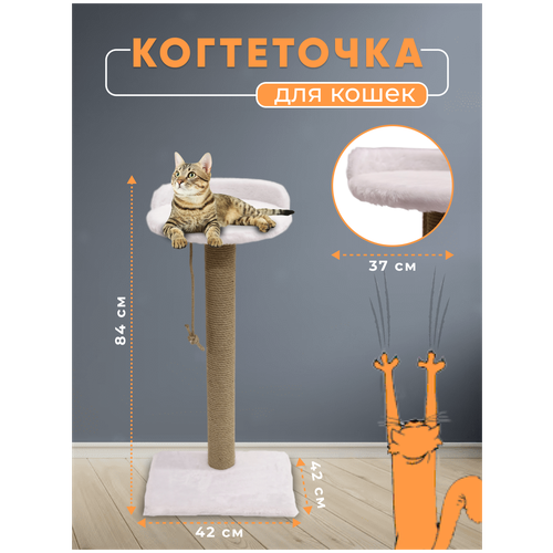 ���� ����������. ���������� �������. ���������� ������� ������� � �������� �� ����� ������������ �������� ����� 80�42�42��., ������ ������