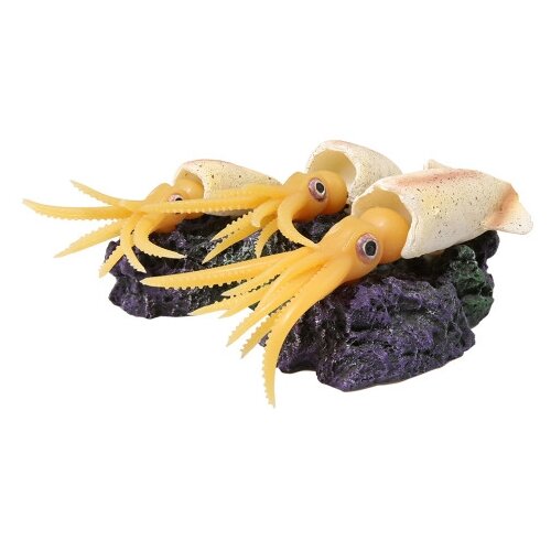  JBL ActionAir Lucky Calamari -   ,  , 