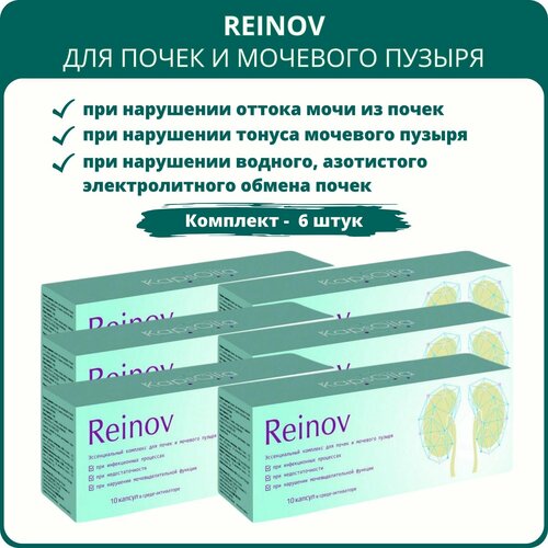 ���� Reinov Kaps�ila (������ ��������) - �������� ��� ����� � �������� ������, 10 ������, ����� 6 ����, ������ ������