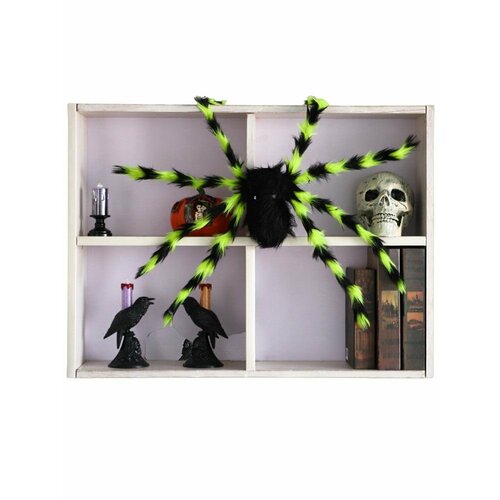 ���� ���������� �������� ���� 75 �� �������� �������, ������ ������