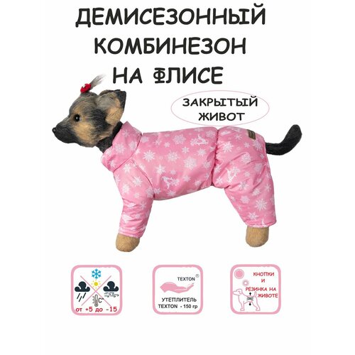 ���� ���������� ��� ����� DOGMODA ��������-������ �������� ������� ����� 37��, ������ ������