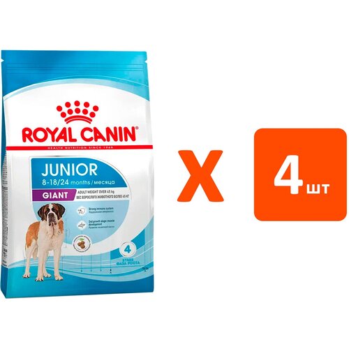  ROYAL CANIN GIANT JUNIOR     (3,5   4 )   -     , -  