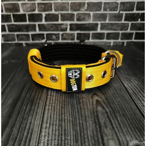 ���� ��� ����� ������� � ������. ������ 4.5 ��. ������� ���������. ������ 35-47 ��. ���� ������ � ������, ������ ������