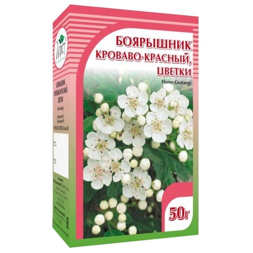 ���� ����� ����� ��������� �������-�������, ������ ������