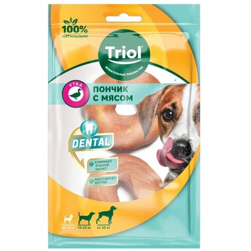     TRIOL   DENTAL   , 7,5, 80 (.2.)   -     , -,   