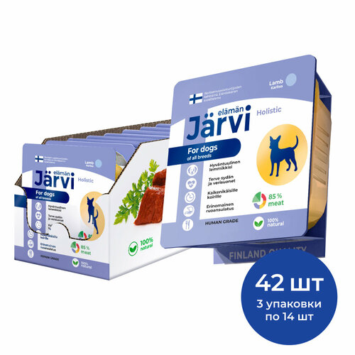  Jarvi         100 .  42    -     , -  