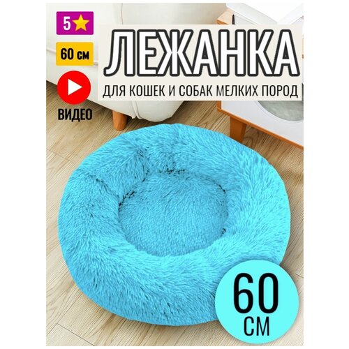 ���� ������� ������� ��� ����� � ����� 60 ��, ������ ������