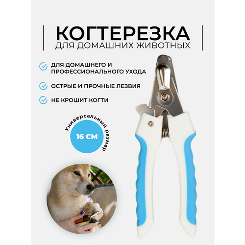 ���� �������� ������� Markov 16 �� ��� �����, ����� � ������ �������� �������, ������ ������