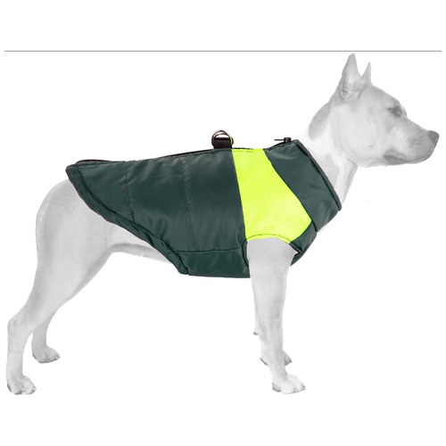 ���� ����� - ������ ��������� , ������ ��� �������� 5�L, ������ ������