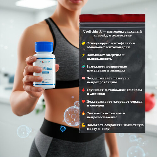 ���� UROLITHIN � (�������� �) 500�� / 60 ������, ������ ������