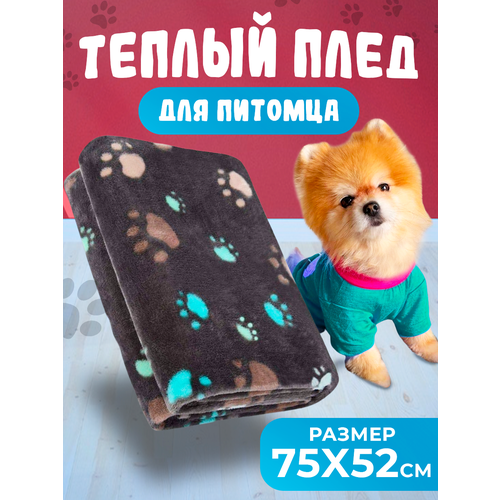 ���� ���� �������� ��� ��������, ���� �����, ������ 75x52 ��, ������ ������