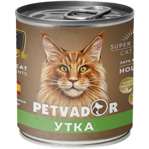      Petvador   2 * 240    -     , -,   