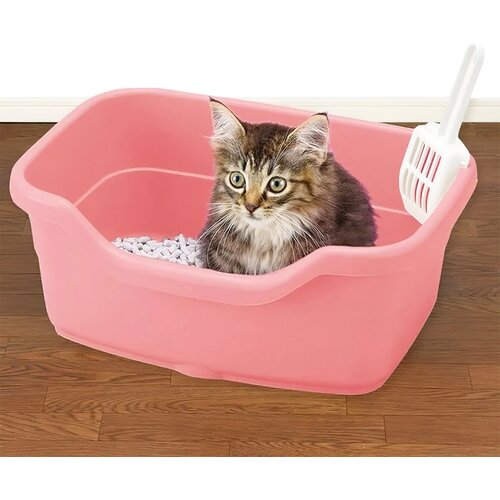 ���� ������ ��� ����� /����� � �������� ��������� � ������ 16 � �������, ������ ������