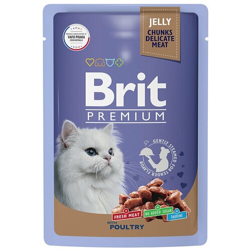   Brit Premium         85, 4