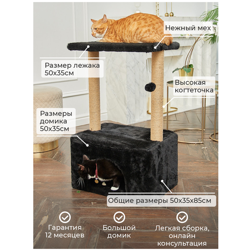 ���� ������� ����� � ������������ 