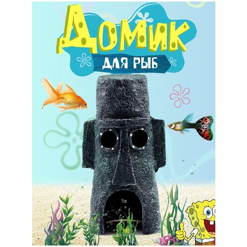 ���� ��������� ��� ���������, �����, �������, �������, ������ ������