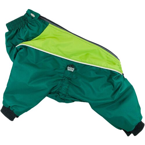 ���� ����������-���� ����������� 