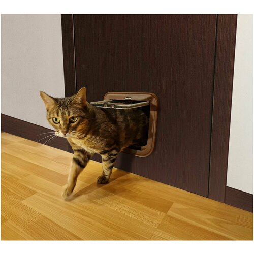 ���� ������ ��� �������� Feed-Ex 15�15,5 �� / ������ ��� ����� / ����� ��� ����� � �����, ������ ������