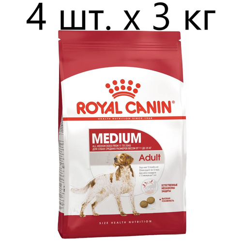      Royal Canin MEDIUM Adult   ,     , 3 .  3  (  )