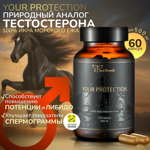  YOUR PROTECTION - 100%   .    . (60 )   -     , -  