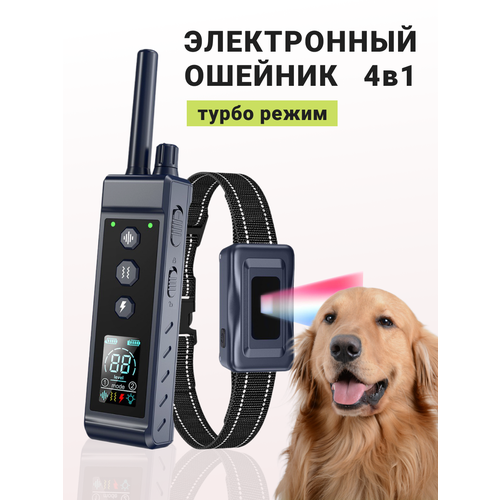 ���� �������������� ��� ����� ST-890, ������ ������