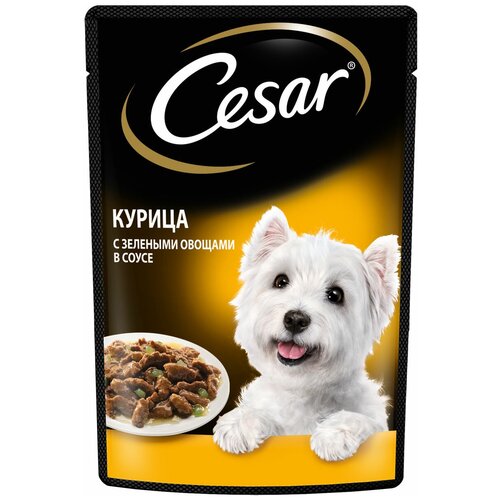      Cesar ,    1 .  1 .  85    -     , -  