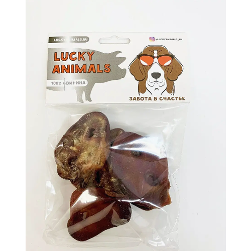  Lucky animals  , 1 .   -     , -  