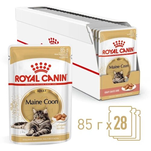  Royal Canin Maine Coon Adult       (  ) , 85 .  28    -     , -  