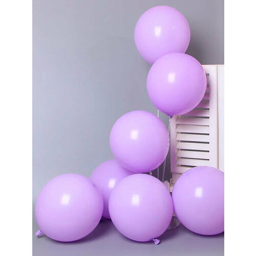 ���� ����� ��������� ����� �������� ������� - 100��, ���������, ������ 30�� / ������, ������ ������