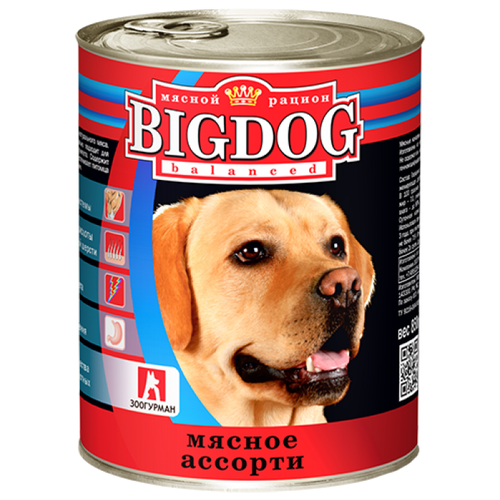       Big Dog,   1 .  2 .  850  (    )   -     , -  