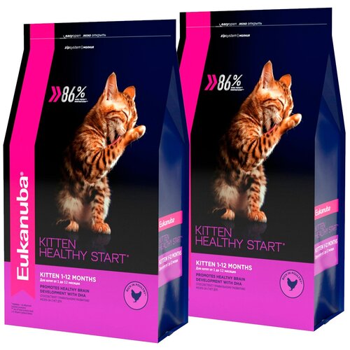  EUKANUBA KITTEN HEALTHY START     (0,4 + 0,4 )   -     , -,   