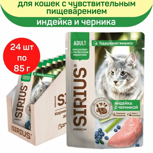    SIRIUS     ,   ,   , 24   85    -     , -  