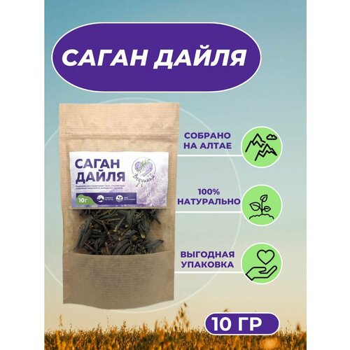 ���� C���� ����� 10� ������� �������� ����, ������ ������