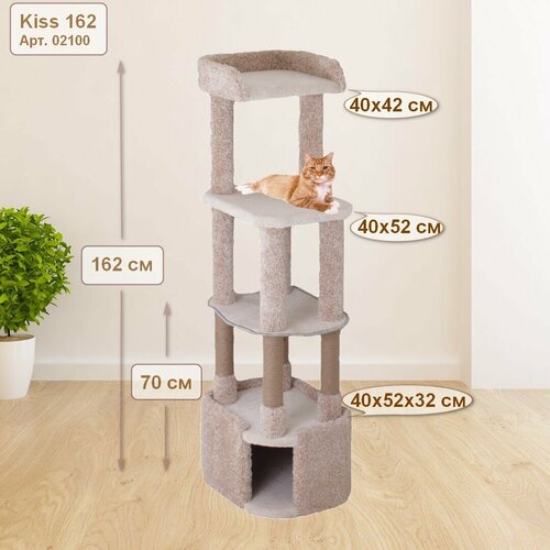 ���� ���������� ��� ����� 