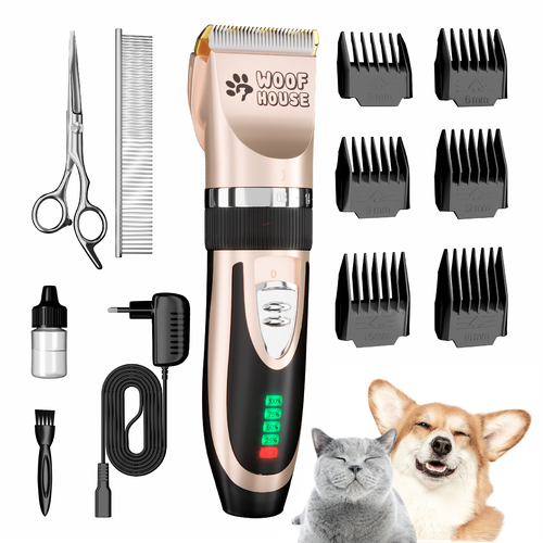 ���� ������� ��� ������� �����/��������/�����/��� ��������/������� ������������ � ������������� � ����������� ������, ������ ������