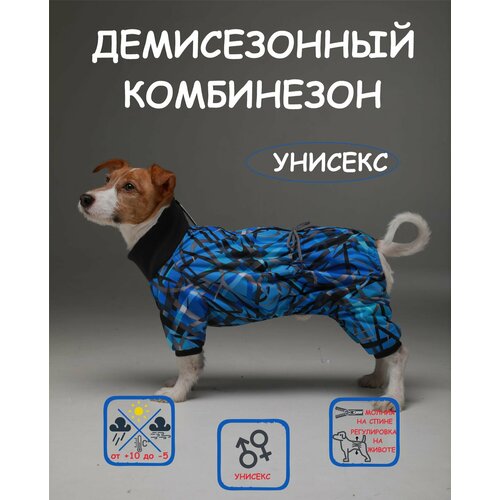     DOGMODA     3   -     , -  