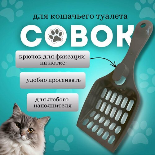 ���� ����� ��� ��������� �������, ������ ������