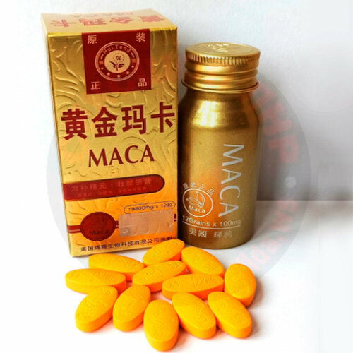    MACA,    ,  ,   (12 )   -     , -  