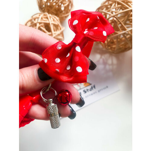 ���� ������� - ������ � ���������� � ������������� Pet Stuff �������, ������ ������