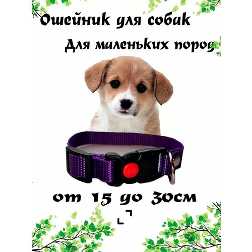 ���� ������� ��� ������ ����� �����, ���������� � �����������, ����������, ������ S, ������ ������